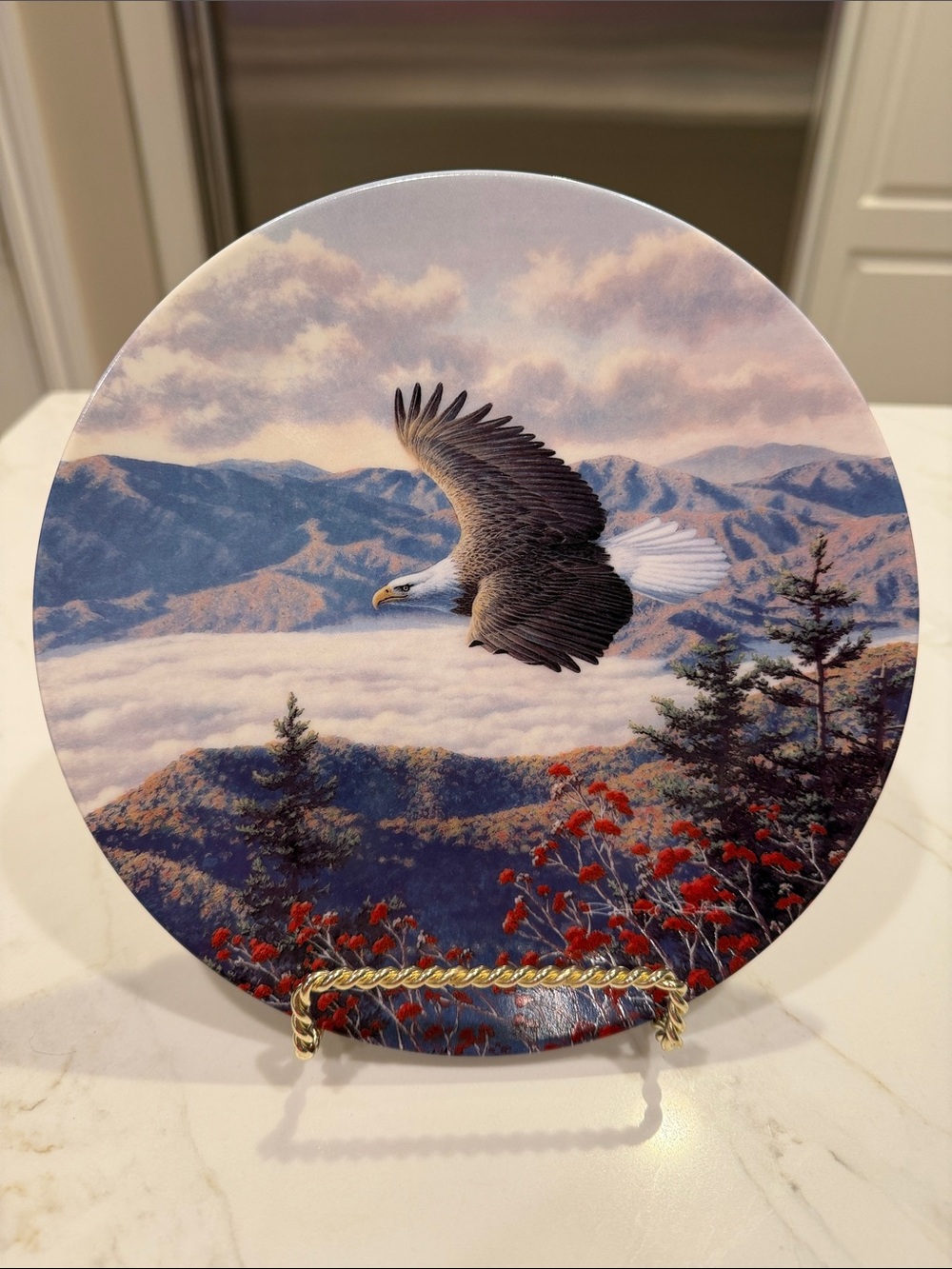 Bald Eagle Mountain Majesty Wall Plate by Robert Richert Americas Pride